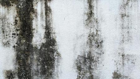 2e2033680d9d9c83bd2573c96b054318_1200x675_19.09.26