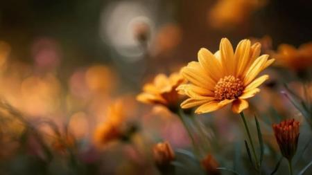9289d5f82c59b8569543aece25fee28c_1200x675_08.10.26_1