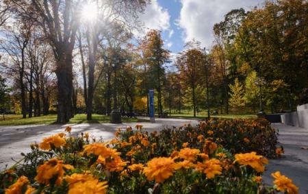 _osin_sontse_chornobrivtsi_speredu_park_dorizhki_dereva_lihtari_kiyiv_vitaliy_nosach_rbk_ukrayina_5940_5072e7f52fa165333671f95016a_08.09.26