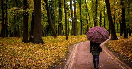 00fead2910eec09a47f3d30d1c8491ae_15.11.25