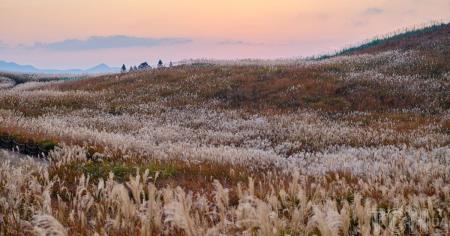 024e3512f61a572e12be80ca98c7827c_06.11.25