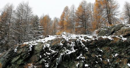 04fc181e18ec84a5b1ec69816cb89997_24.01.26