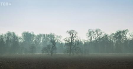 Гороскоп на 17 листопада для всіх знаків зодіаку: день розв'язання грандіозних завдань