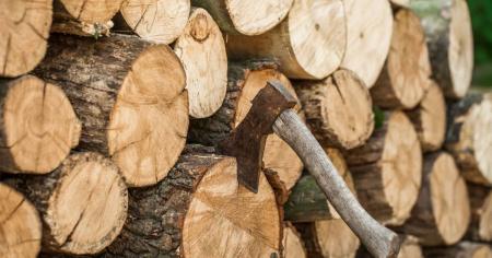 0b92d8519f46e7a79a313363e8fec64e_16.10.25