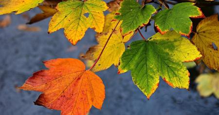 0ca9e91f7caafe8c95708f1cef3c6045_31.10.25