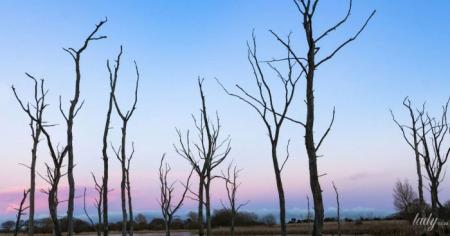 Гороскоп на 1 грудня для всіх знаків зодіаку: день, коли ми на всіх ображатимемося