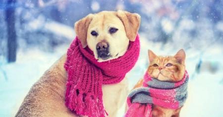 0e27678d1d4d2ee31460f2e163f6db60_08.01.26_1