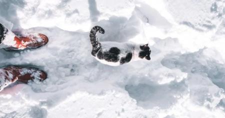 Чи будуть сніг і морози в грудні: синоптик розповів про погоду