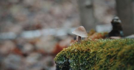 101469c517d985f914fb43d45ee34c47_30.11.25