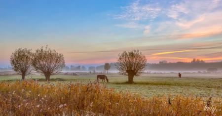 107d22ce6863165aa57a14bc22256d5d_14.11.25