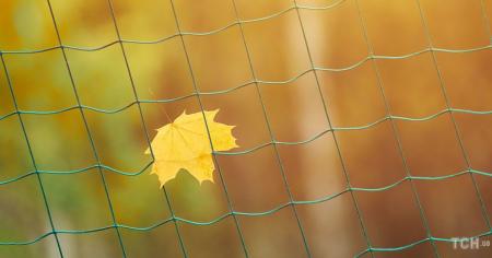 1084326055e8fb6bcab65e3a28e85226_08.10.25