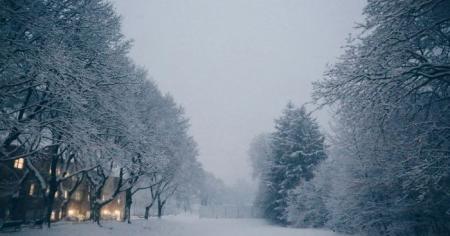 11cb2edb8d54dd439553f181aaebb696_26.12.25_1