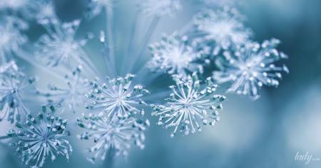 12b3ff1514f9e82d5ae5d1336e38d116_22.11.25