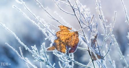 16c840546d5b182da12324b569a69bda_08.12.25