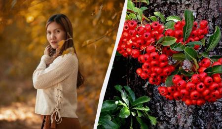 Сьогодні дуже важливий день для України: два великі свята 30 листопада 2025