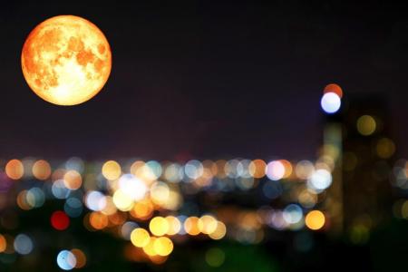 1764181252-3350_04.12.25