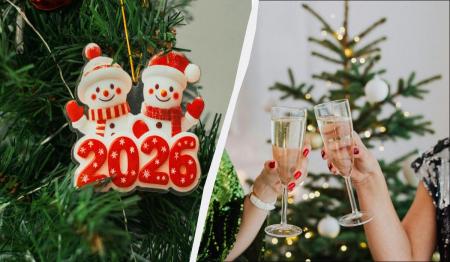 1766054848-4359_21.12.25