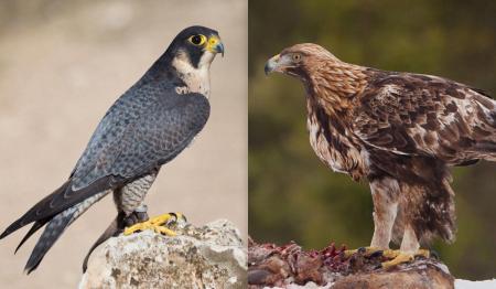 1767031031-4151_01.01.26