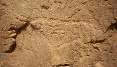 1767853205-4687_09.01.26