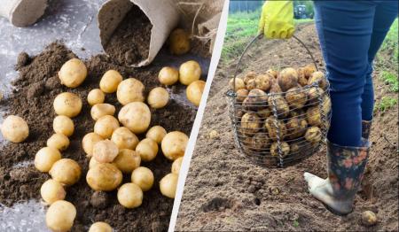 1767956705-4999_11.01.26