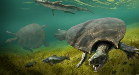 1768330576-5796_17.01.26