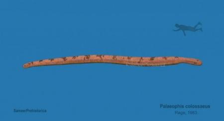 1768415009-1515_16.01.26_1