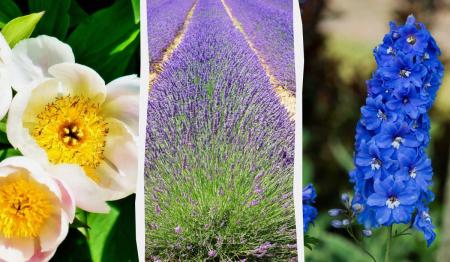 1769457653-9702_01.02.26