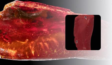 1769542362-8184_30.01.26