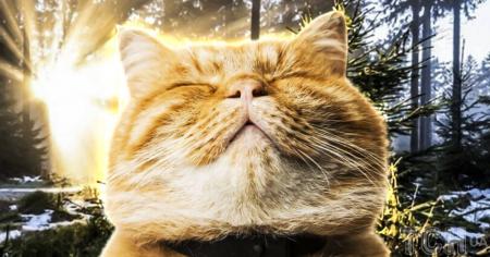 1a57b1ce40ab12592da18eba80ffe87f_21.01.26