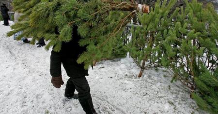 1c8626909294e96172e5cab1d1ef4c93_29.11.25