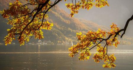 1cf89df437c874c5ca7e86510261fcbe_13.11.25