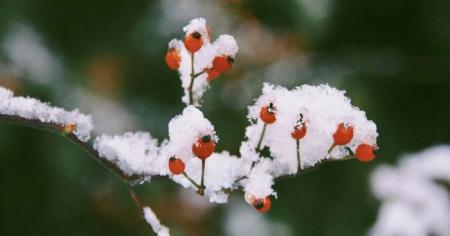 1e7bd5c950835f86d7a44421cbd5d428_28.12.25_1