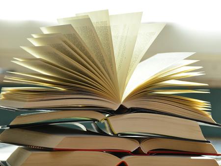 Торік в Україні видали більш як 500 тисяч книг