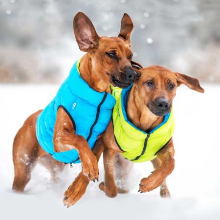 светящиеся куртки для собак