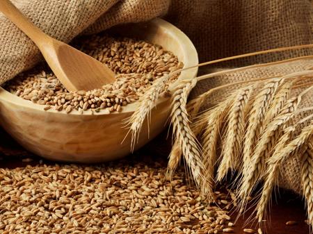 Украина поставила новый рекорд по экспорту зерновых