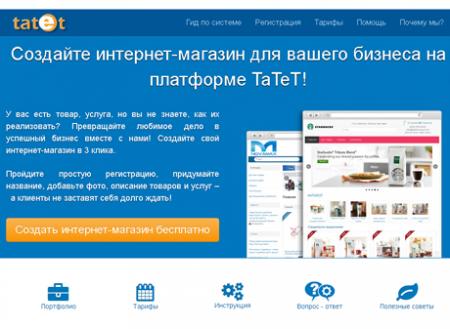 Онлайн-бизнес c Tatet.Net – реально ли получать прибыль?