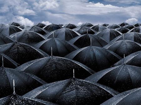 Rain_Umbrellas