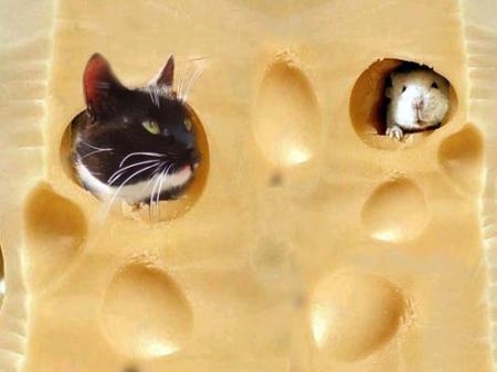 cheese_cat_mouse