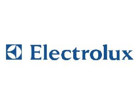 Фабрика Electrolux в Ивано-Франковске обрела «рулевого»