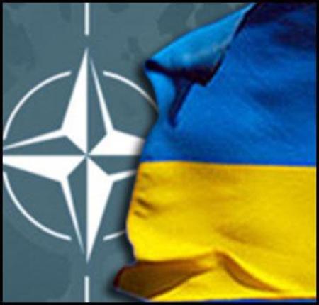 Януковича пожурили за спешку с отказом от вступления в НАТО