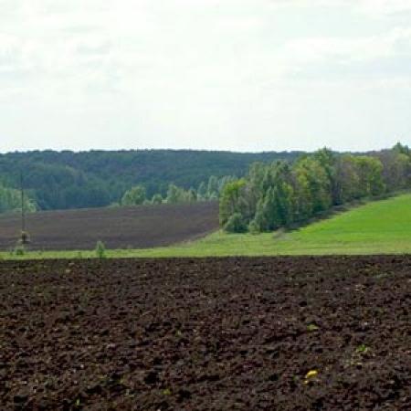 Шведская Alpcot Agro планирует увеличить земельный банк в Украине