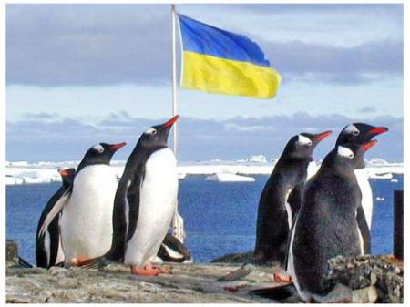 pingviny_flag