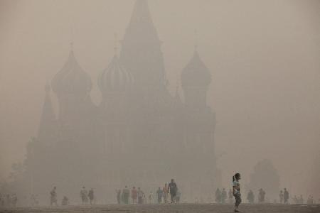  Экологическая ситуация в Москве продолжает ухудшаться 