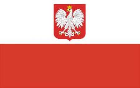 Досрочные выборы президента пройдут в Польше