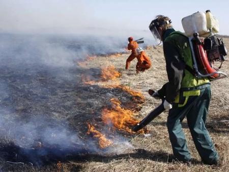 В Черниговской области продолжают гореть торфяники