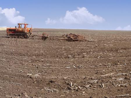 Стоимость земли в Украине может вырасти втрое после отмены моратория — Всемирный банк