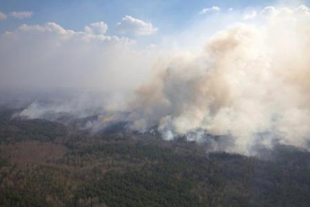 В МВД назвали версии возникновения лесных пожаров на севере Украины