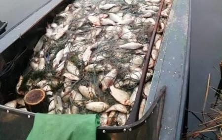 Штрафи за незаконний вилов риби в Україні підняли в десятки разів