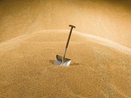 От нашего стола — вашему: сможет ли Украина заработать на высоких ценах на зерно