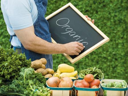 Модна органіка: як заробити на людях, які купують органічні продукти